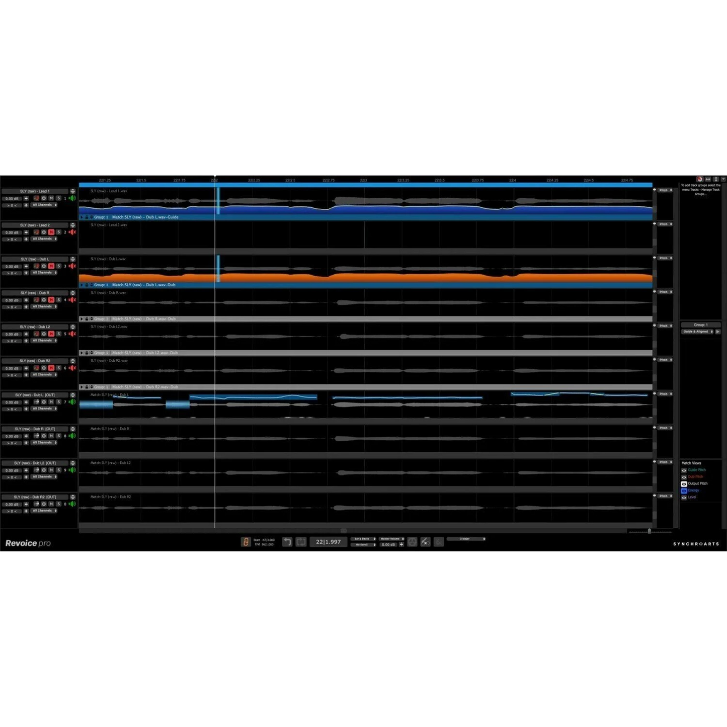 Screenshot of Revoice Pro 5 Interface