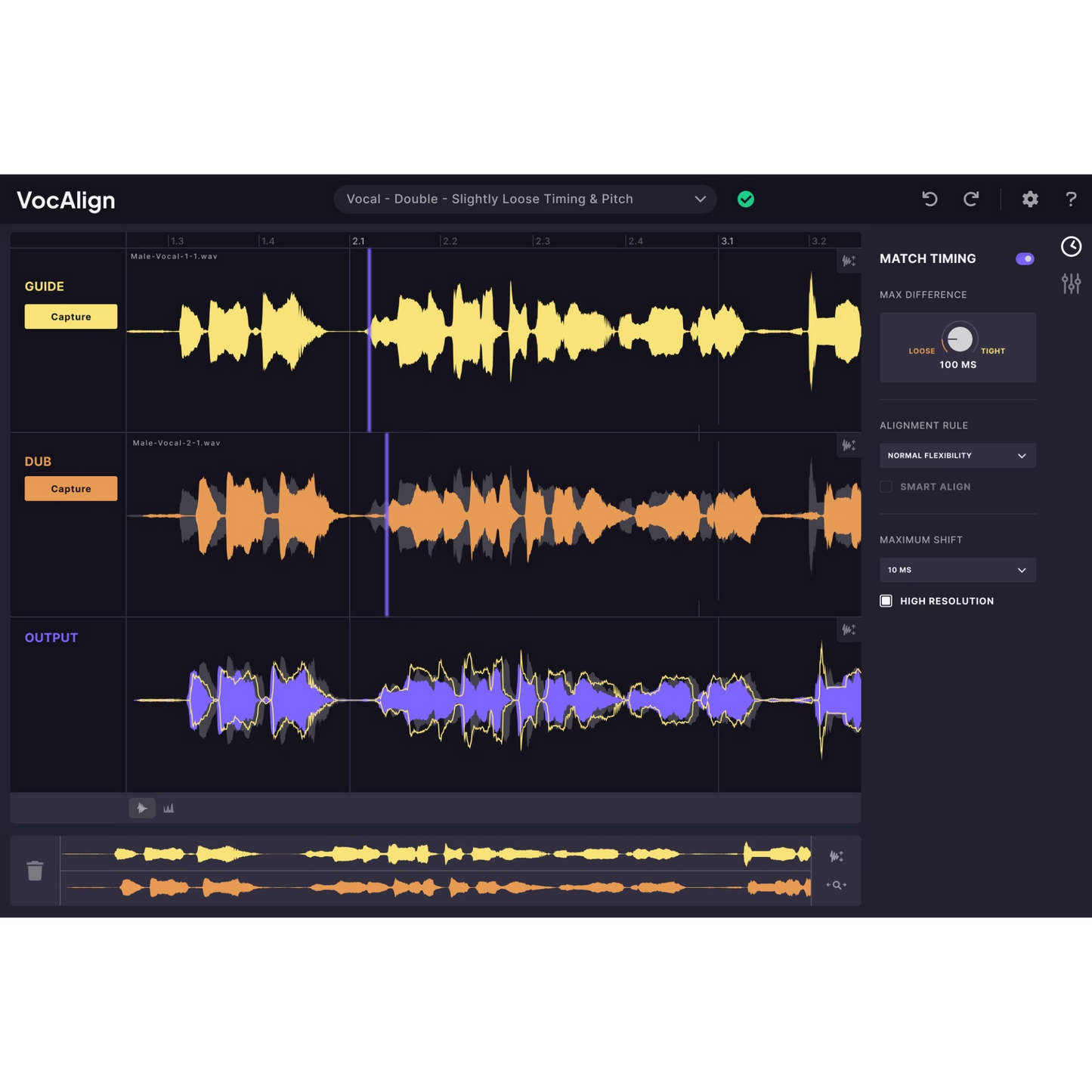 Screenshoot of VocAlign Standard Interface