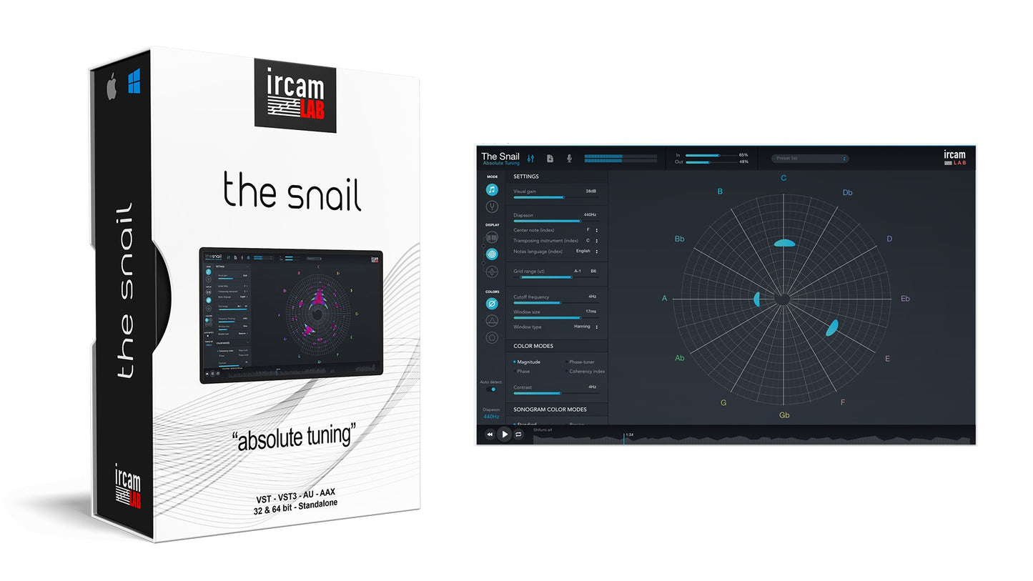 The Snail