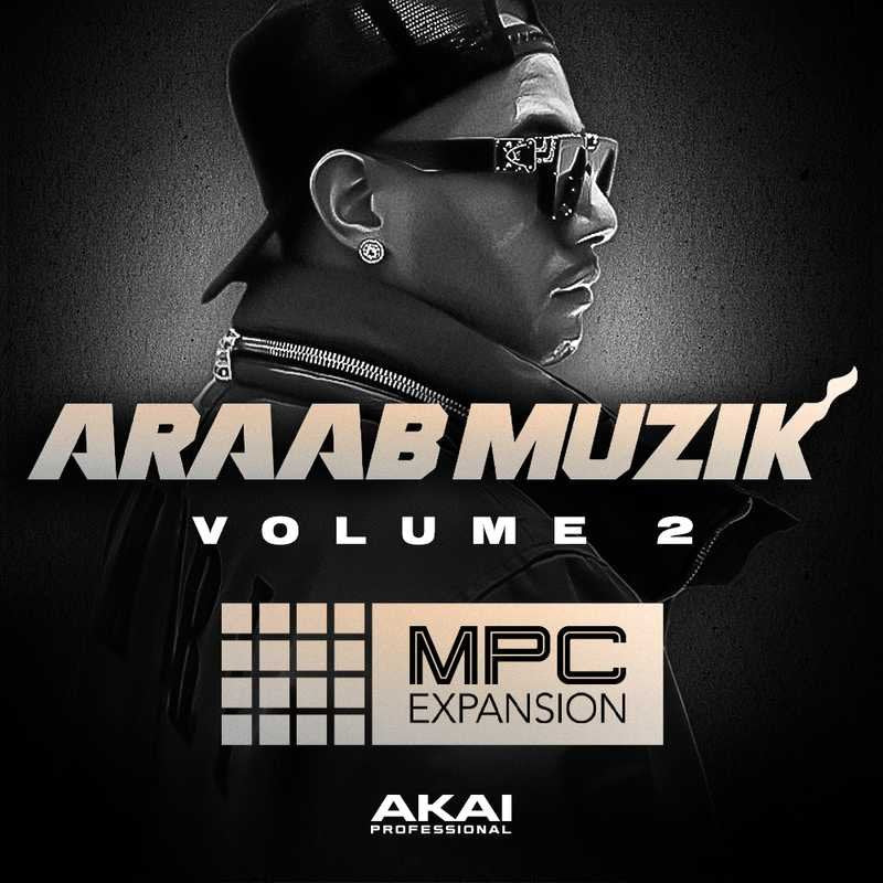 Artist Series araabMUZIK VOL 2