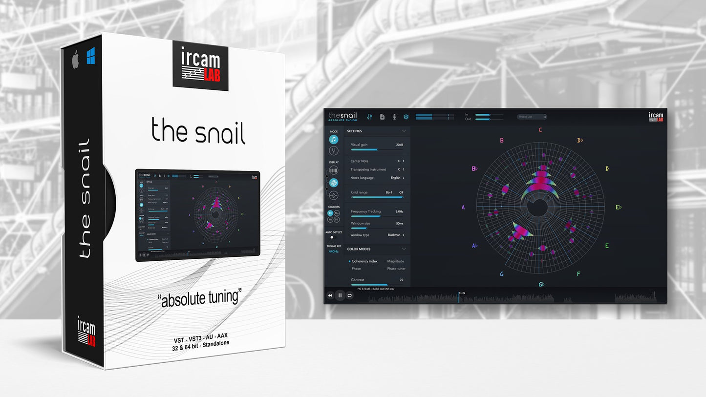 The Snail