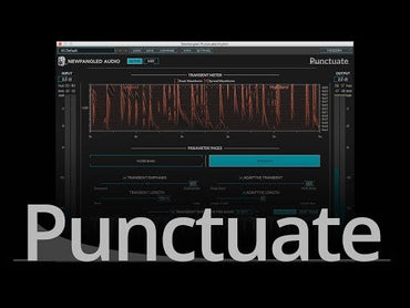 Punctuate Overview - Video Thumbnail