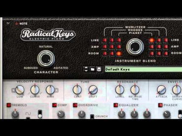 Radical Keys | Reason
