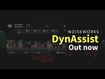 DynAssist | NoiseWorks