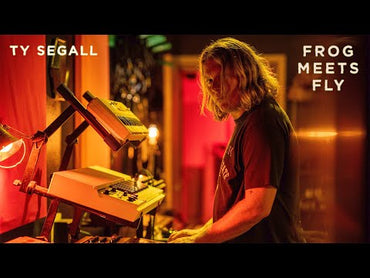 MoogerFooger Effects Complete Bundle | Moog