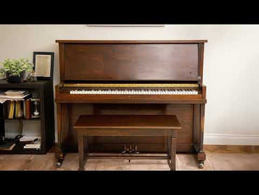 Boz Chicago Upright 1927 Pro