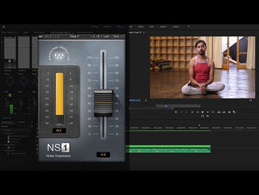 Waves NS1 Noise Suppressor