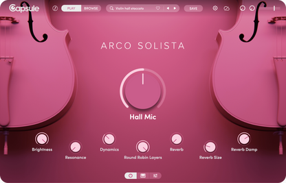 Capsule Arco Solista