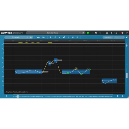 RePitch Standard user interface
