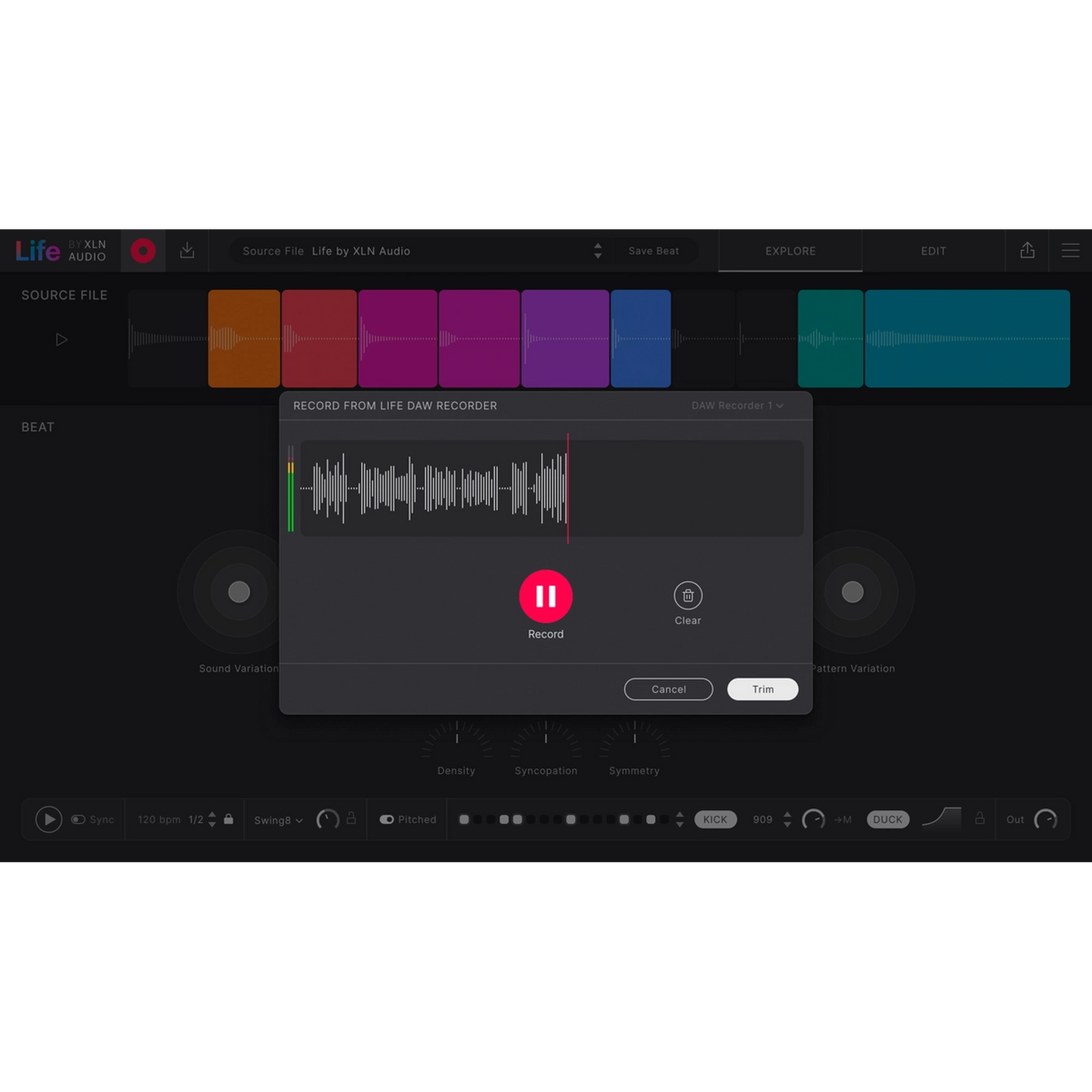 Life by XLN AUDIO record
