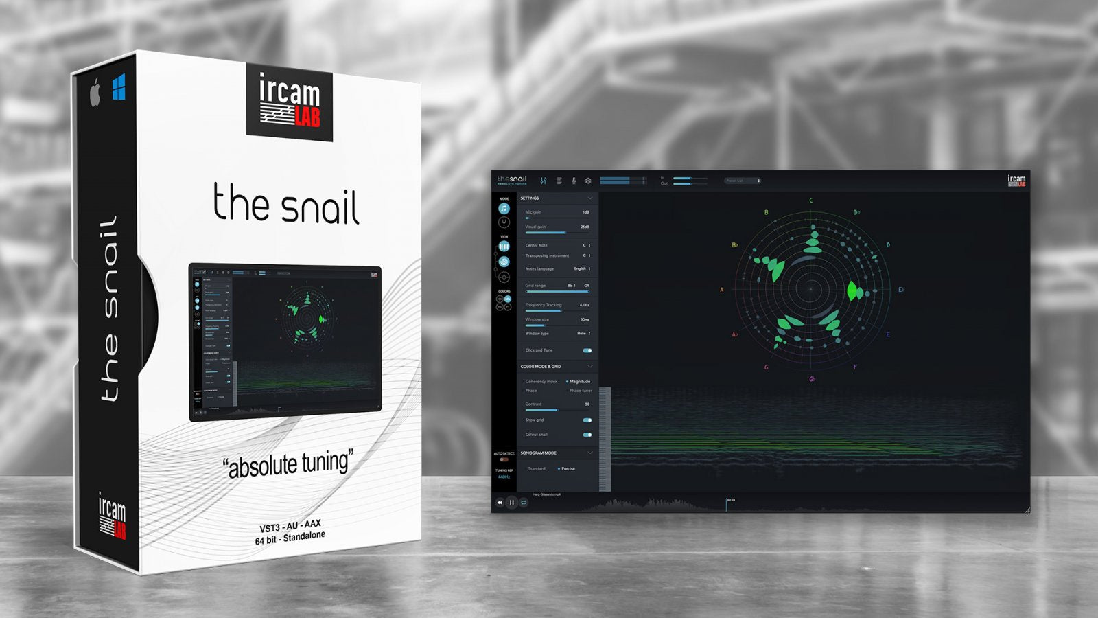 The Snail
