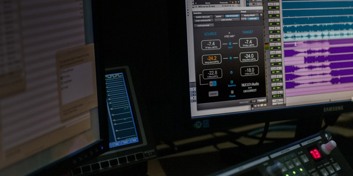 LM-Correct with DynApt extension