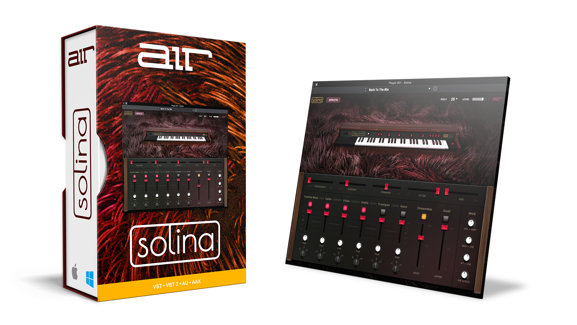 Solina