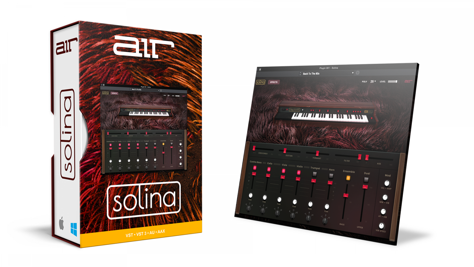 Solina