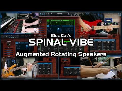 Blue Cat Spinal Vibe