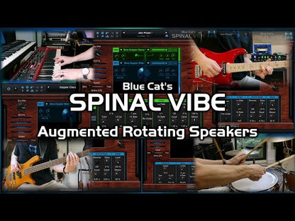 Blue Cat Spinal Vibe