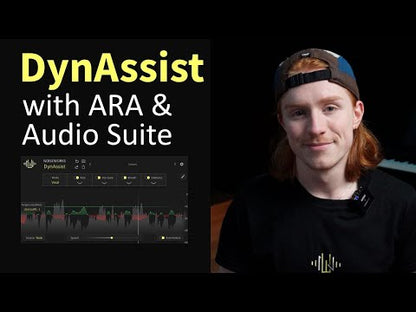 DynAssist | NoiseWorks