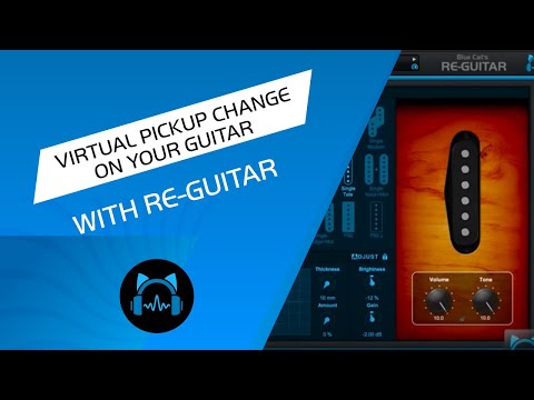 Blue Cat Re-Guitar