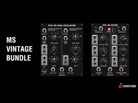 MS Vintage Bundle for VM