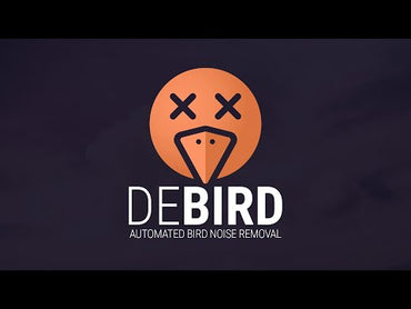 Boom DeBird