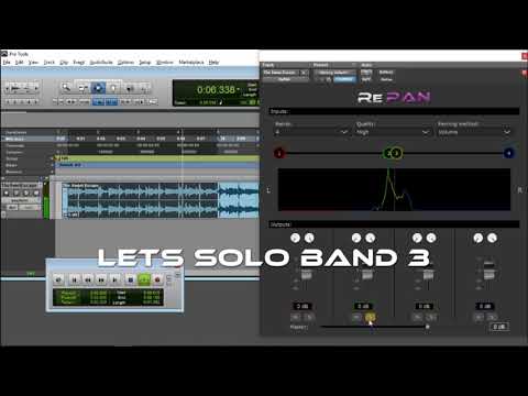 RePAN Tutorial
