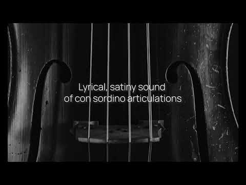 Special Edition Vol. 3 Extended Strings