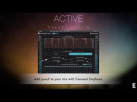 Newfangled Audio Punctuate - Transient Modulator Presets Demo - Video Thumbnail