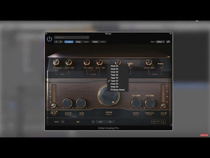 Initial Audio Analog Pro