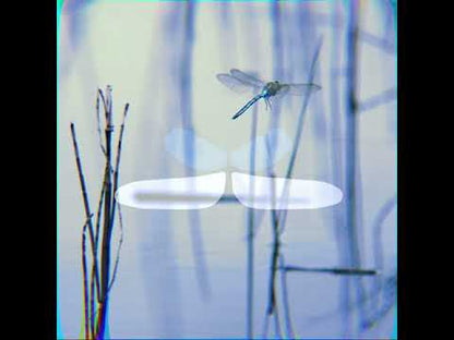 BLEASS Dragonfly