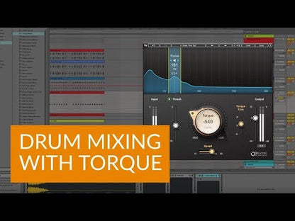Waves Torque