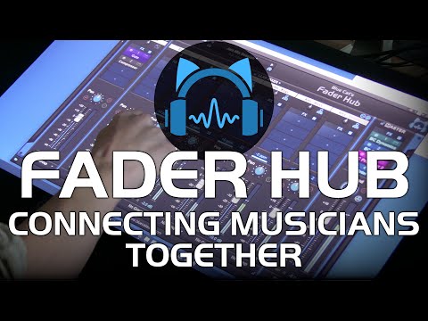Blue Cat Fader Hub