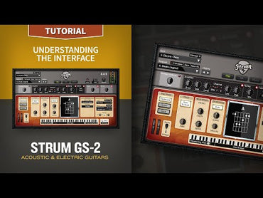 Strum GS-2 Tutorials Understanding the Interface