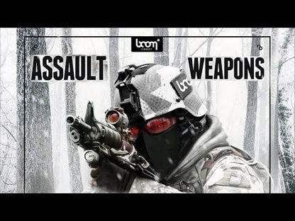Boom Assault Weapons CK