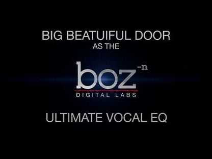 Boz Big Beautiful Door 2