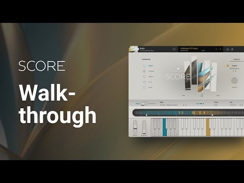 UJAM Intro Bundle
