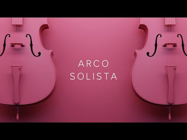 Capsule Arco Solista