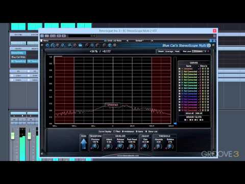 Blue Cat StereoScopeMulti