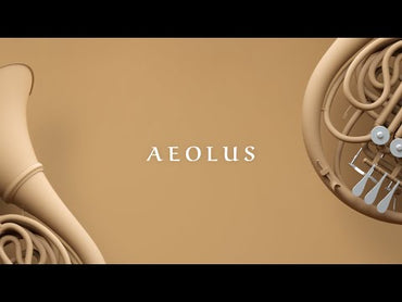 Capsule Aeolus