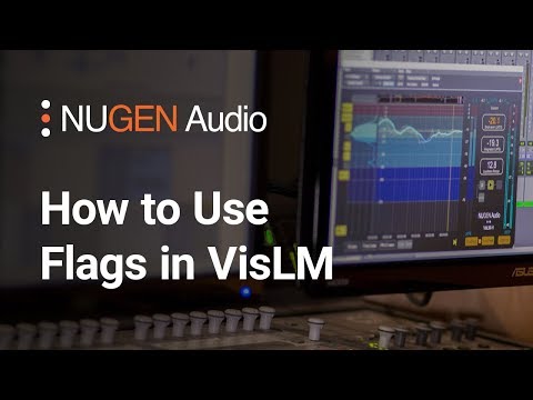 How to Use Flags in VisLM
