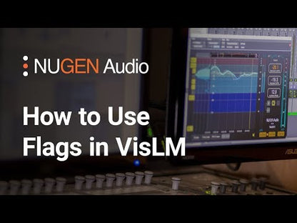How to Use Flags in VisLM