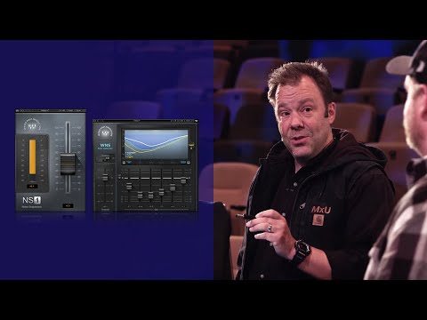 Waves WNS Noise Suppressor