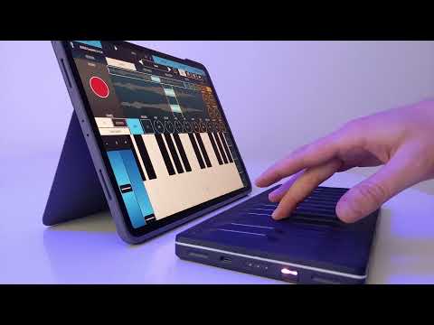 BLEASS SampleWiz 2