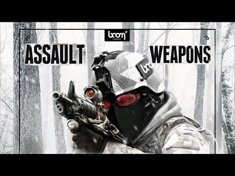 Boom Assault Weapons CK