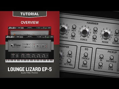 Overview Lounge Lizard EP-5 Tutorial