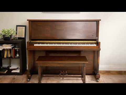 Boz Chicago Upright 1927 Pro