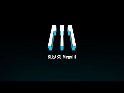BLEASS Megalit