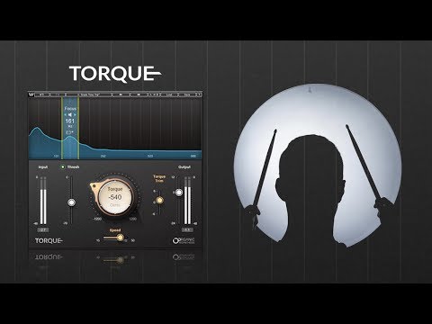 Waves Torque
