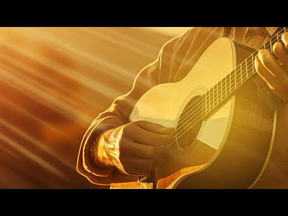 AAS Eternal Harmony Thiago Pinheiro sound pack for Strum GS-2 and AAS Player