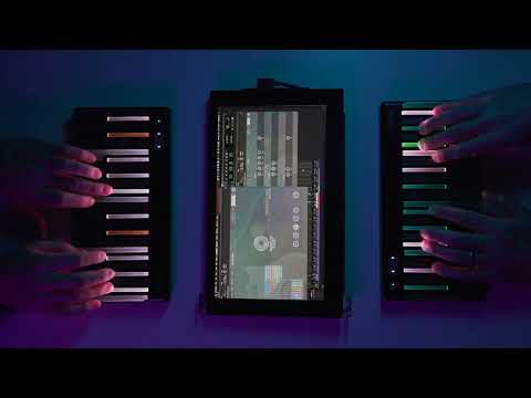 Nightfox Audio Bundle