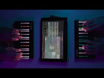 Nightfox Audio Bundle